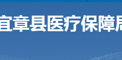 宜章县医疗保障局