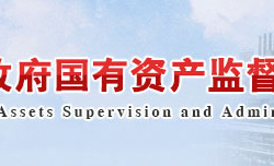 岳阳市人民政府国有资产监督管理委员会