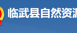 临武县自然资源局