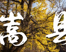嵩县闫庄镇人民政府