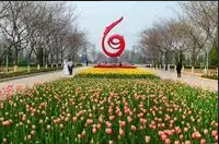 濮阳市华龙区大庆路街道办事处