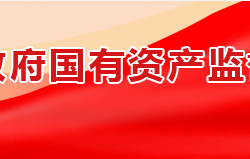 湘潭市政府国有资产监督管理委员会