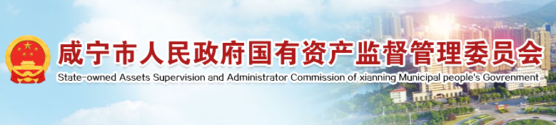 咸宁市人民政府国有资产监督管理委员会
