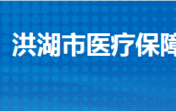 洪湖市医疗保障局