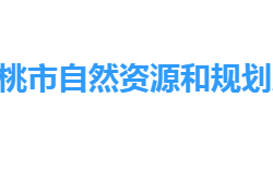 仙桃市自然资源和规划局网上办事大厅