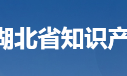 湖北省知识产权局网上办事大厅