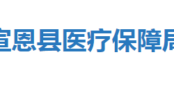 宣恩县医疗保障局