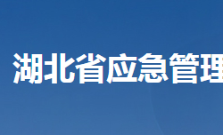 湖北省应急管理厅