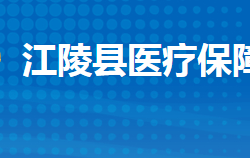 江陵县医疗保障局