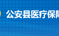 公安县医疗保障局