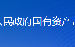 娄底市人民政府国有资产监