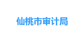 仙桃市审计局网上办事大厅