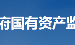 湖北省人民政府国有资产监