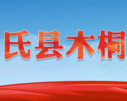 卢氏县木桐乡人民政府