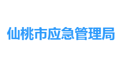 仙桃市应急管理局网上办事大厅