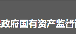 怀化市人民政府国有资产监督管理委员会