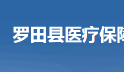 罗田县医疗保障局