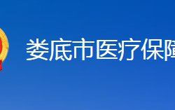 娄底市医疗保障局