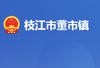 枝江市董市镇人民政府