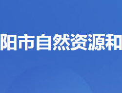 当阳市自然资源和规划局