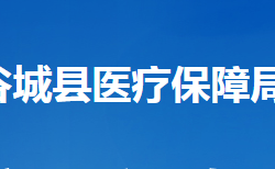 谷城县医疗保障局