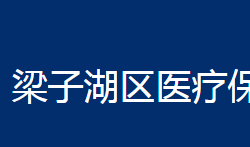 鄂州市梁子湖区医疗保障局