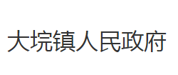 石首市大垸镇人民政府