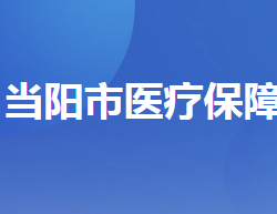 当阳市医疗保障局