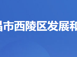 宜昌市西陵区发展和改革局