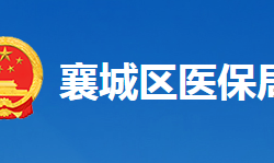 襄阳市襄城区医疗保障局