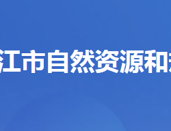 枝江市自然资源和规划局