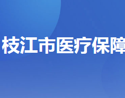 枝江市医疗保障局