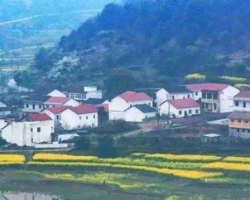罗山县竹竿镇人民政府