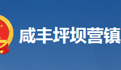 咸丰县坪坝营镇人民政府