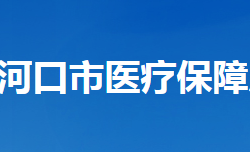 老河口市医疗保障局