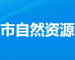 孝感市自然资源和规划局