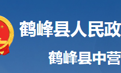 鹤峰县中营镇人民政府