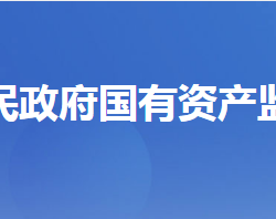 宜昌市人民政府国有资产监