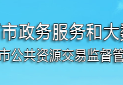 黄石市政务服务和大数据管理局