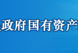 鄂州市人民政府国有资产监