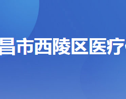 宜昌市西陵区医疗保障局