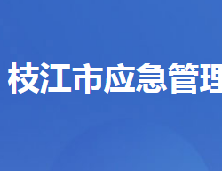 枝江市应急管理局