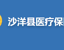 沙洋县医疗保障局