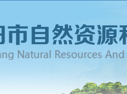 襄阳市自然资源和规划局