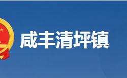 咸丰县清坪镇人民政府