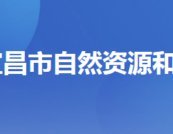 宜昌市自然资源和规划局