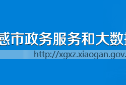 孝感市政务服务和大数据管理局