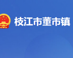 枝江市董市镇人民政府