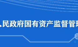 黄石市人民政府国有资产监