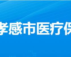 孝感市医疗保障局